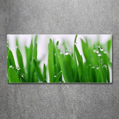 Tableau acrylique Tiges d'herbe