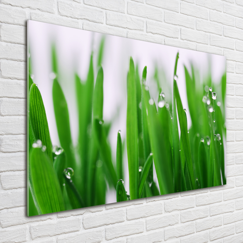 Tableau acrylique Tiges d'herbe