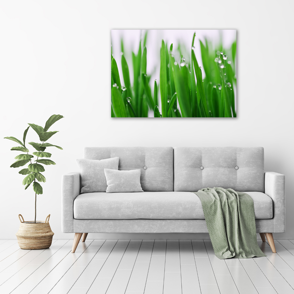 Tableau acrylique Tiges d'herbe