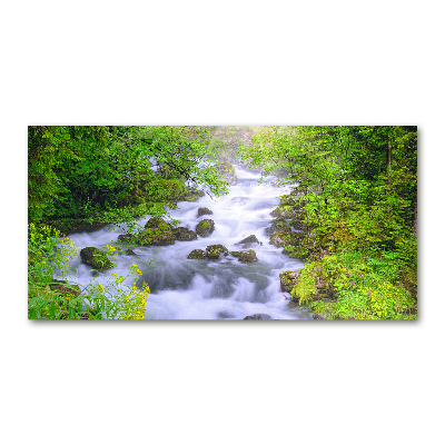 Tableau en acrylique Rivière de montagne