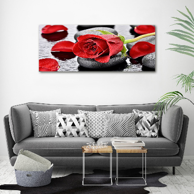 Tableau en acrylique Rose rouge