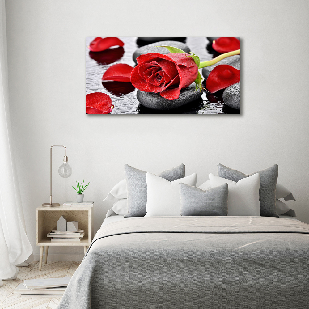 Tableau en acrylique Rose rouge