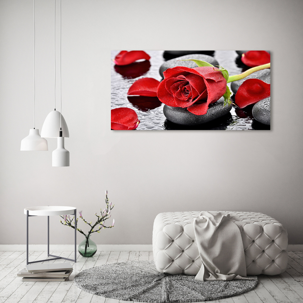 Tableau en acrylique Rose rouge