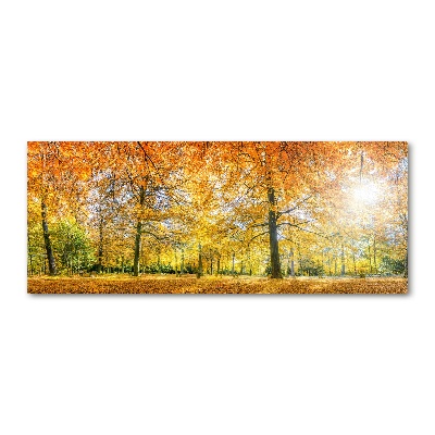 Tableau verre acrylique Forêt d'automne