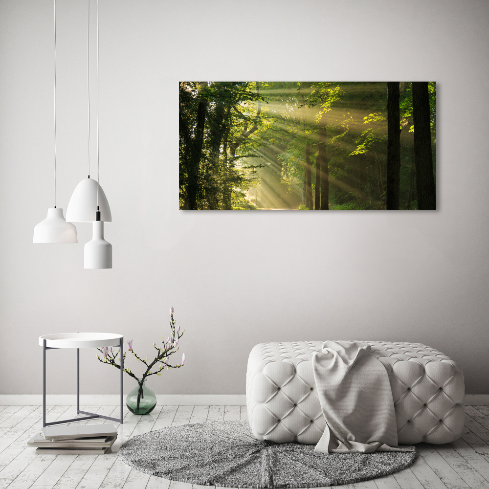 Tableau verre acrylique La forêt sous le soleil