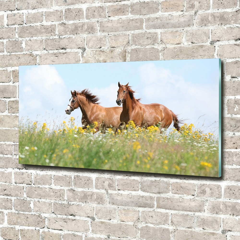 Tableau sur verre acrylique Deux chevaux au galop