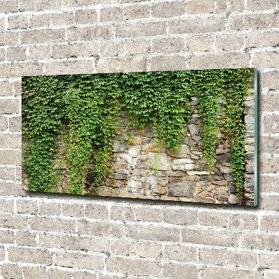 Acrylique tableau Lierre vert