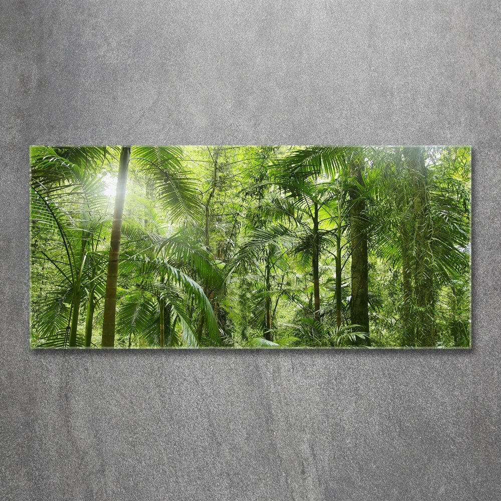 Tableau verre acrylique Forêt tropicale