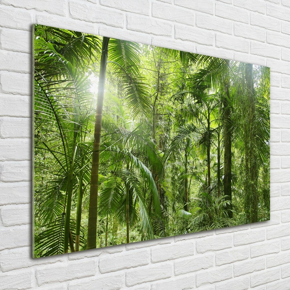 Tableau verre acrylique Forêt tropicale