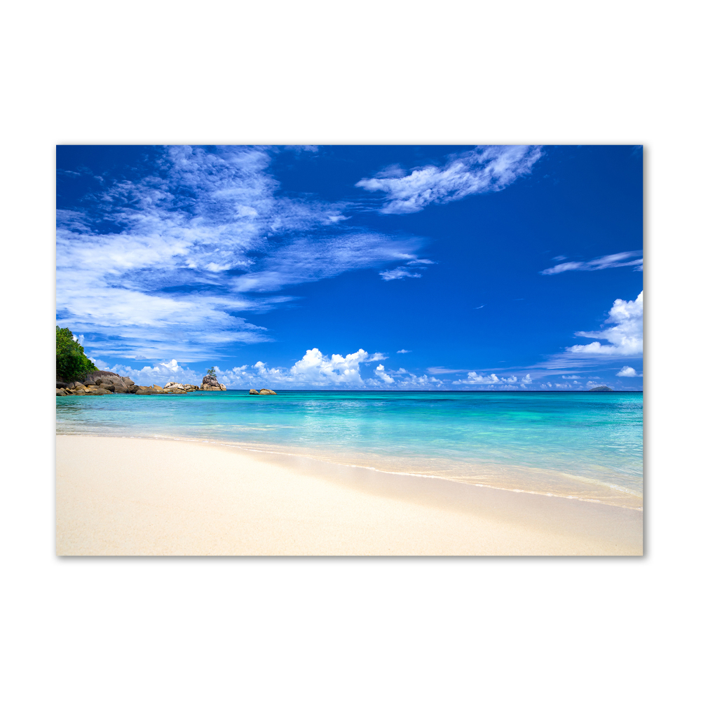 Acrylique tableau Plage exotique