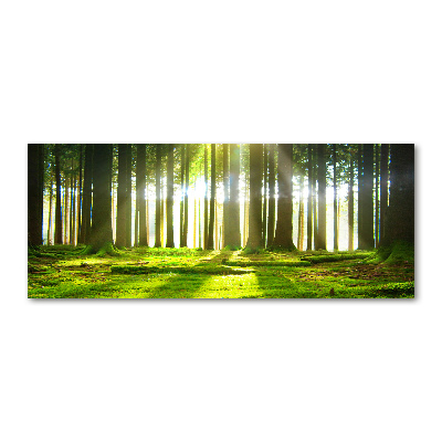 Tableau sur verre acrylique Forêt au soleil