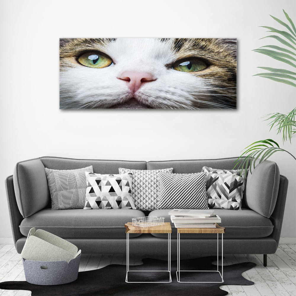 Tableau acrylique Yeux de chat verts