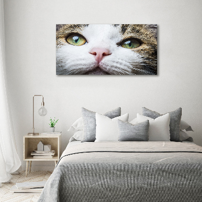 Tableau acrylique Yeux de chat verts