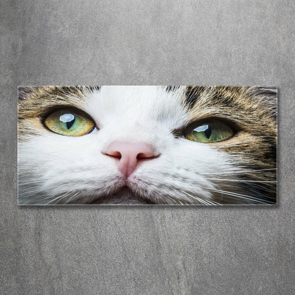 Tableau acrylique Yeux de chat verts