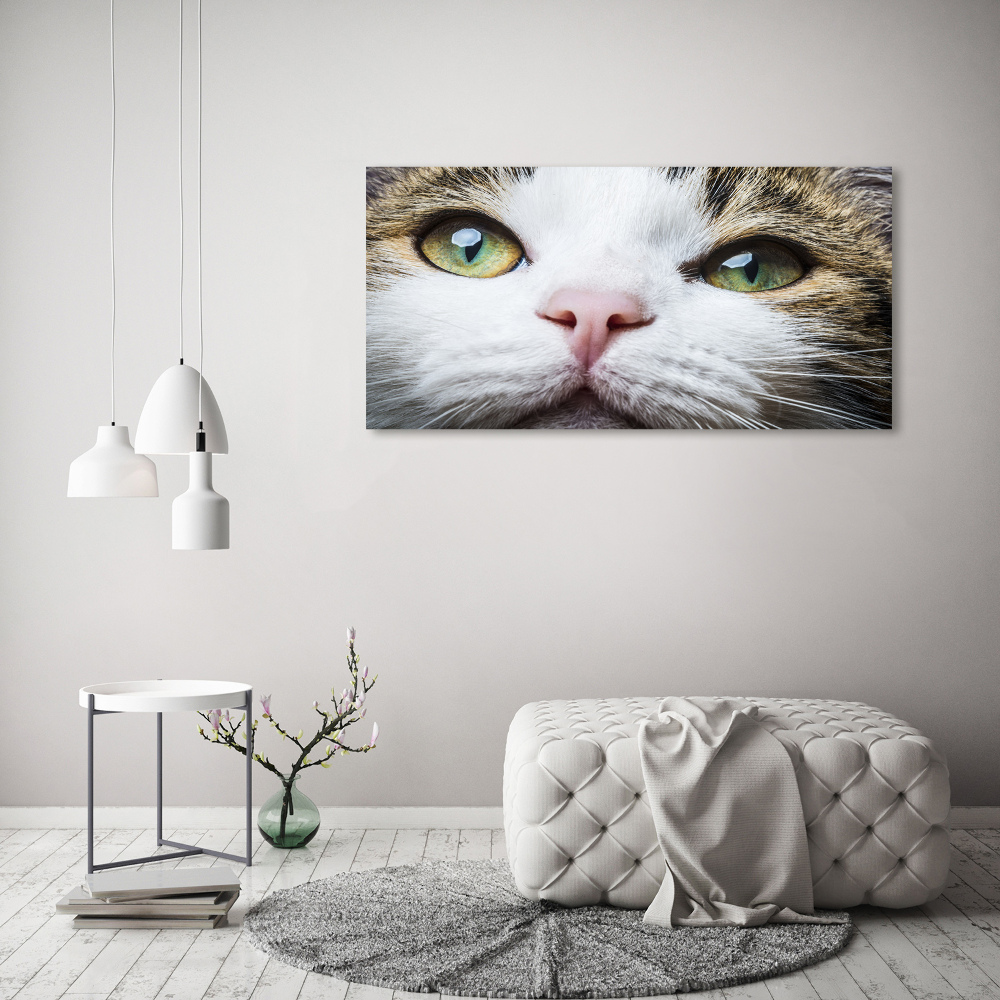 Tableau acrylique Yeux de chat verts