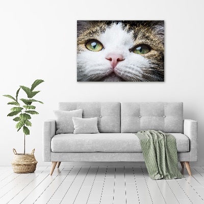 Tableau acrylique Yeux de chat verts