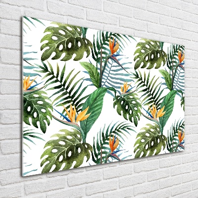 Tableau acrylique Feuilles de monstera exotique