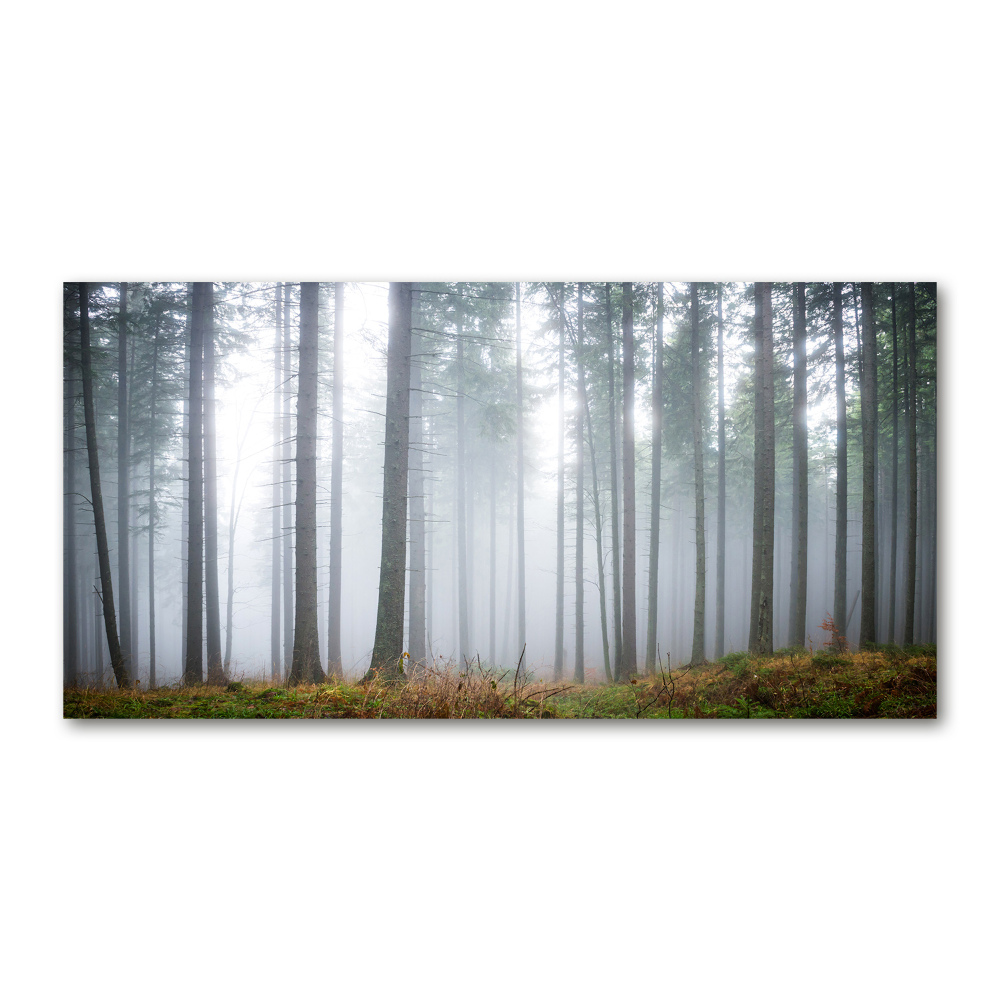 Tableau sur verre acrylique Brume dans la forêt