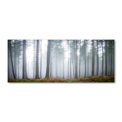 Tableau sur verre acrylique Brume dans la forêt