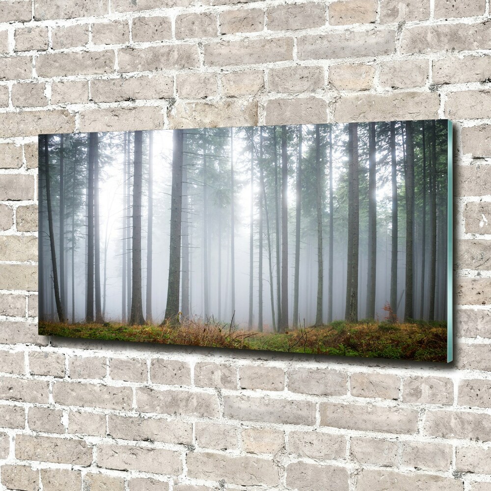 Tableau sur verre acrylique Brume dans la forêt