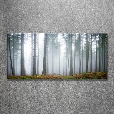 Tableau sur verre acrylique Brume dans la forêt