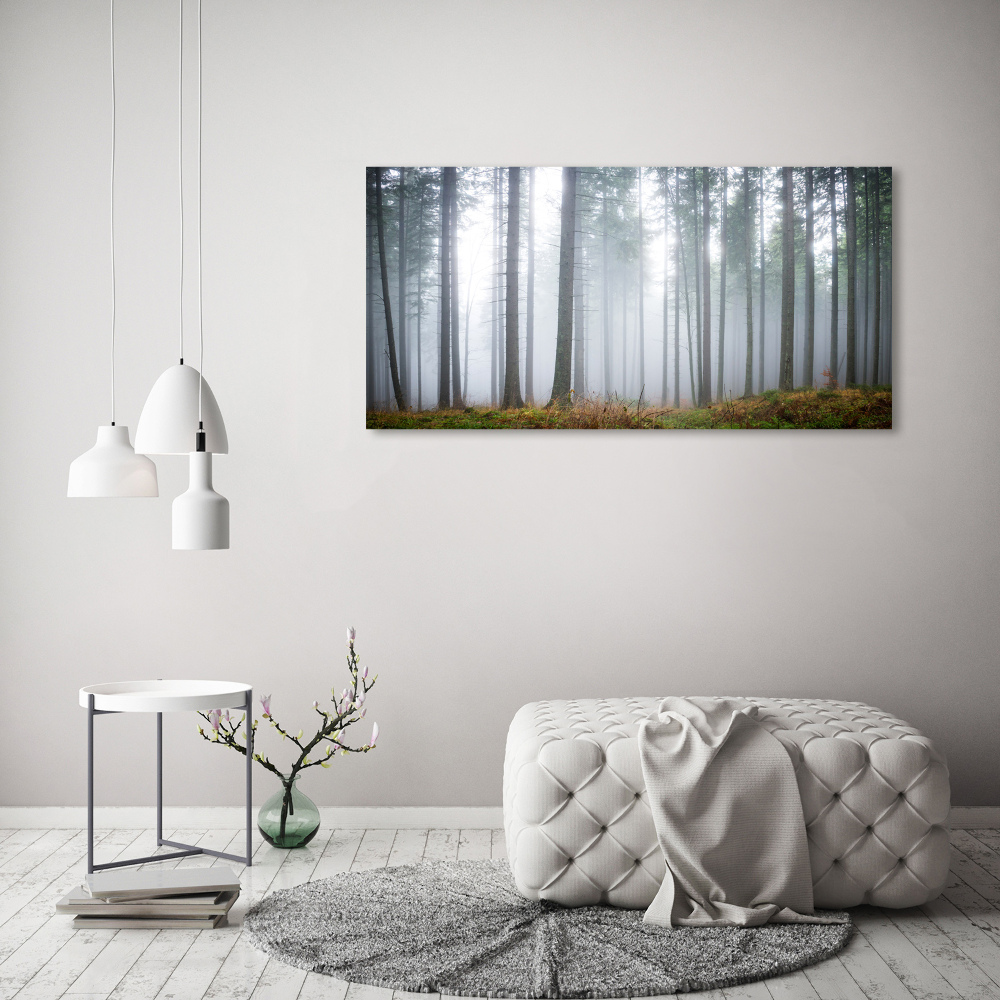 Tableau sur verre acrylique Brume dans la forêt