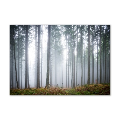 Tableau sur verre acrylique Brume dans la forêt