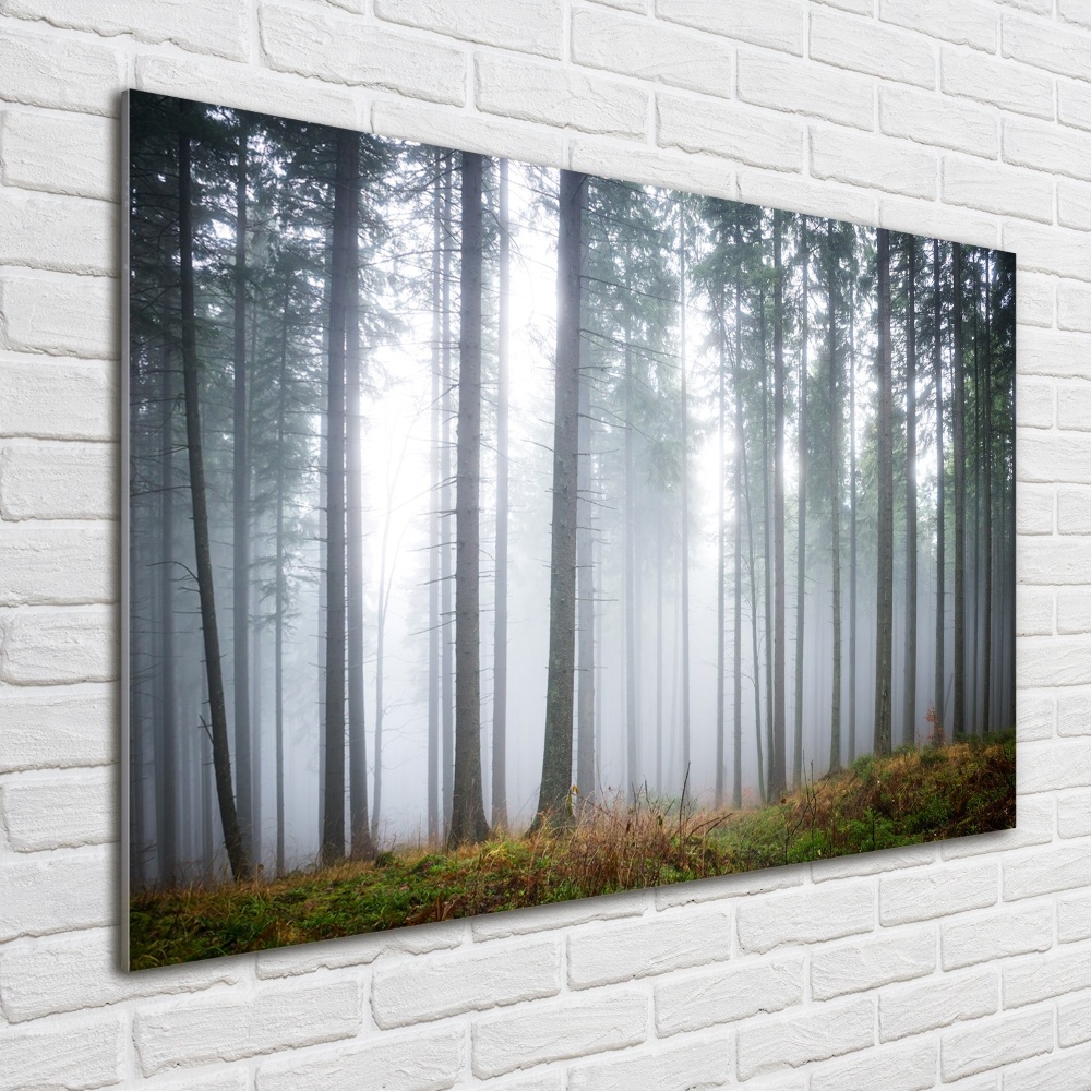 Tableau sur verre acrylique Brume dans la forêt