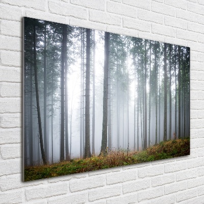 Tableau sur verre acrylique Brume dans la forêt