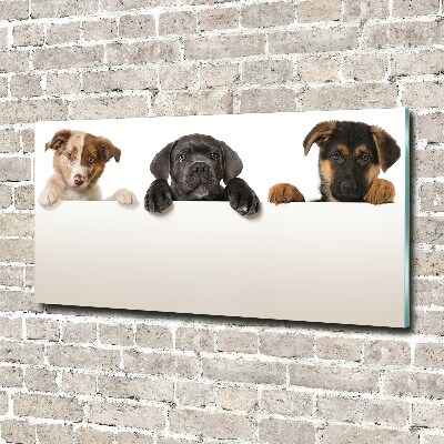 Tableau en acrylique Trois chiots