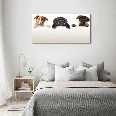 Tableau en acrylique Trois chiots