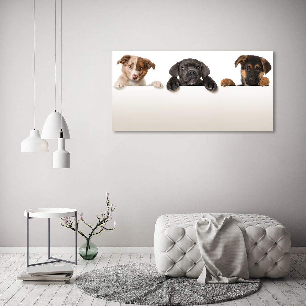 Tableau en acrylique Trois chiots