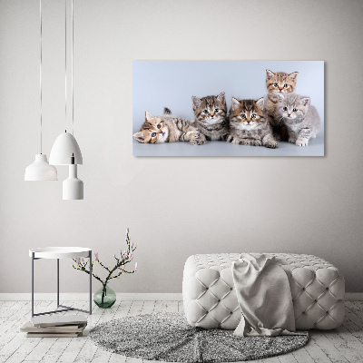 Tableau en acrylique Cinq chats