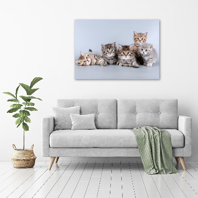 Tableau en acrylique Cinq chats