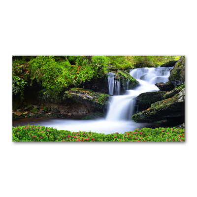 Tableau verre acrylique Chute d'eau dans la forêt