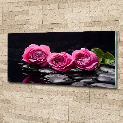 Tableau verre acrylique Roses roses