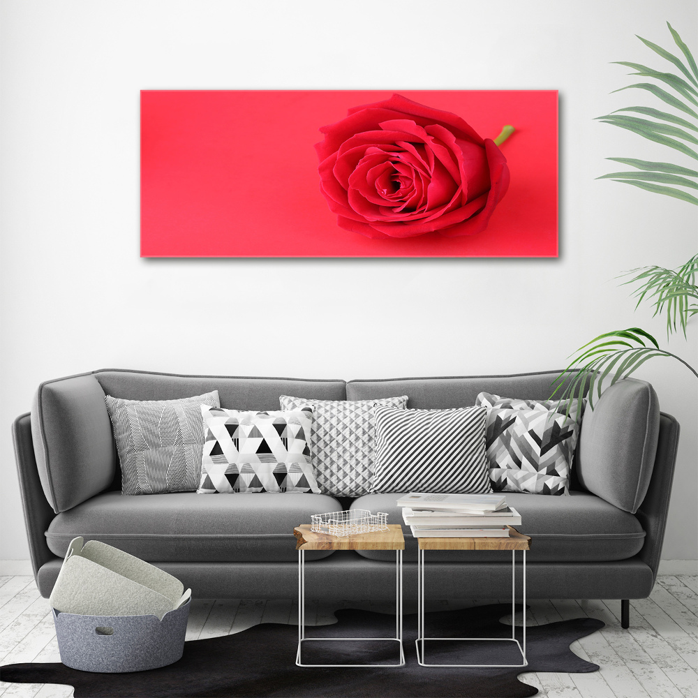 Tableau verre acrylique Rose rouge