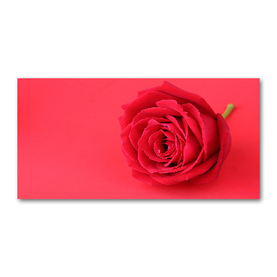 Tableau verre acrylique Rose rouge