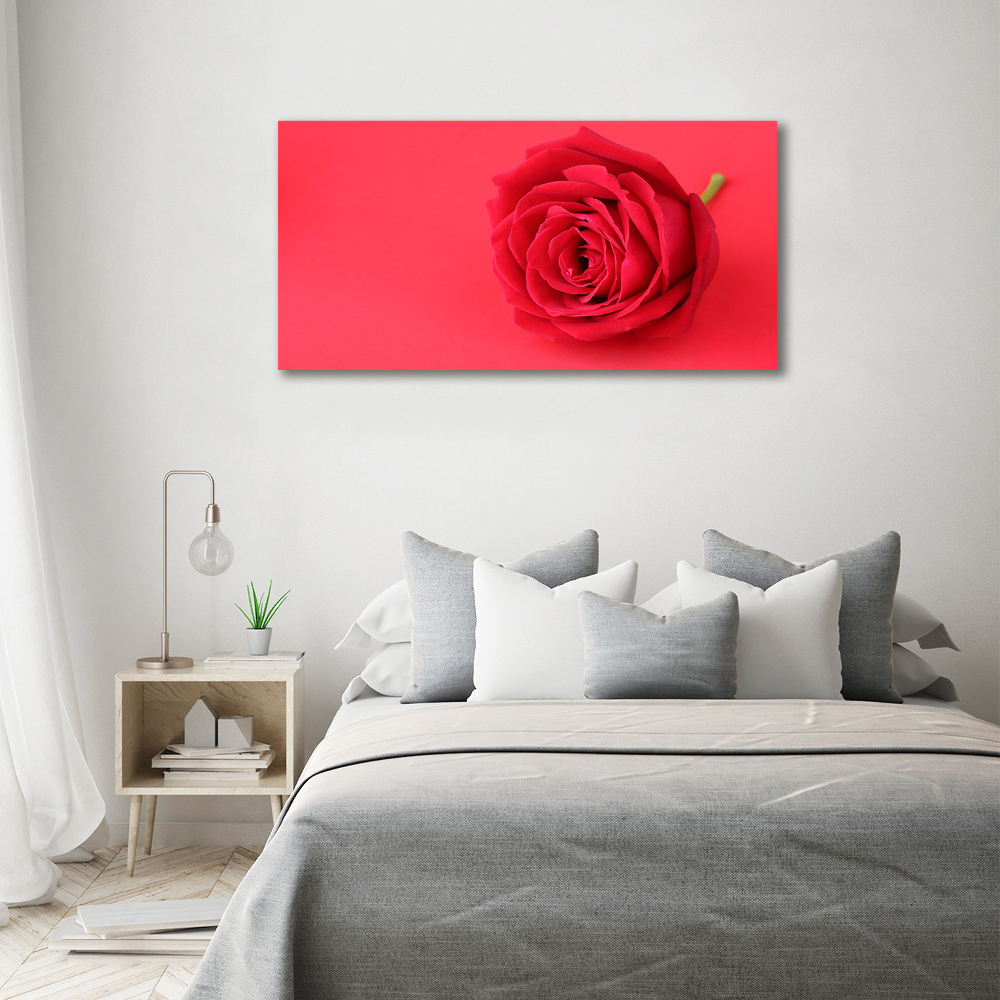 Tableau verre acrylique Rose rouge