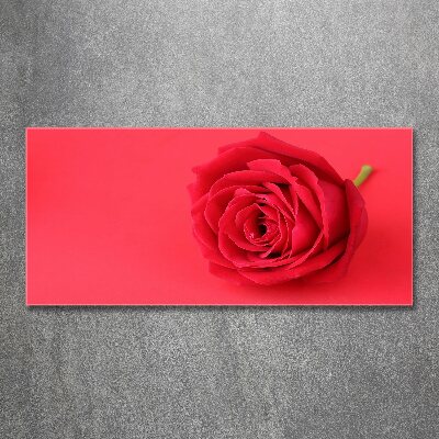 Tableau verre acrylique Rose rouge