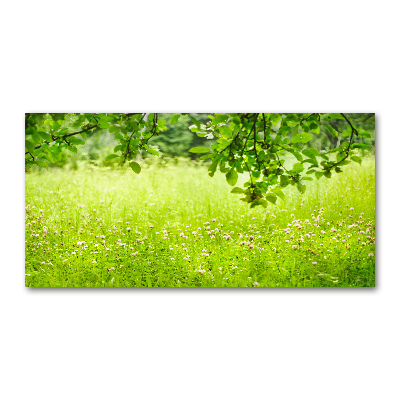 Tableau verre acrylique Pré vert