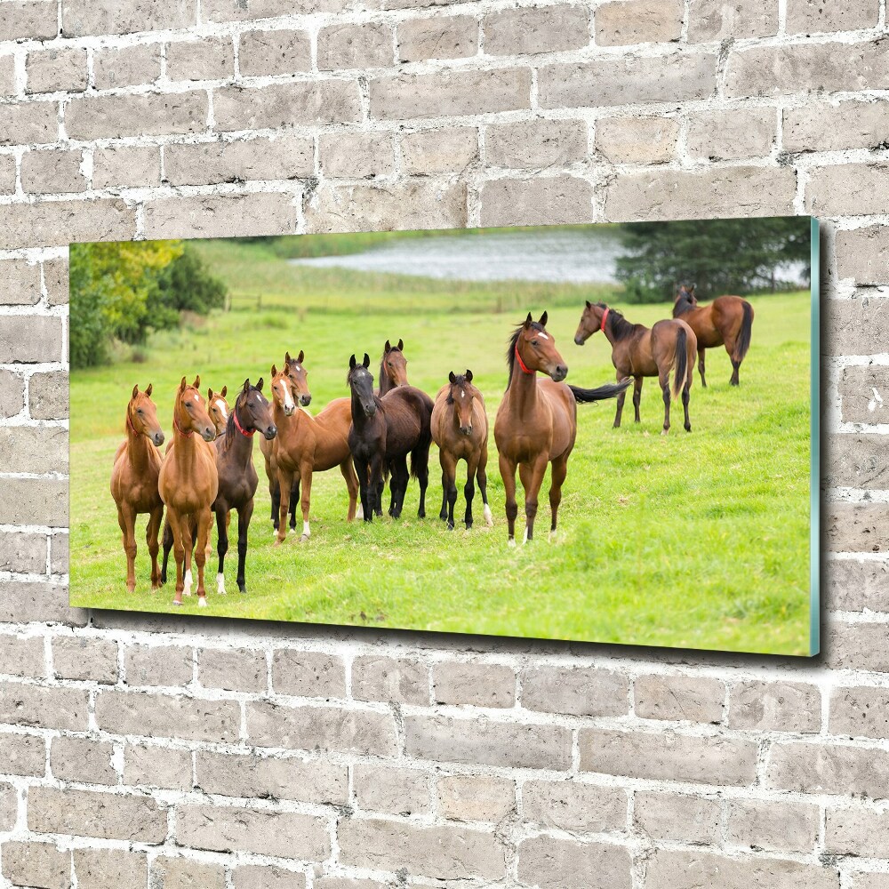 Acrylique tableau Troupeau de chevaux dans un pré