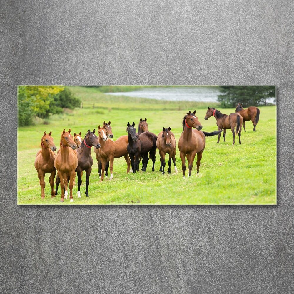 Acrylique tableau Troupeau de chevaux dans un pré