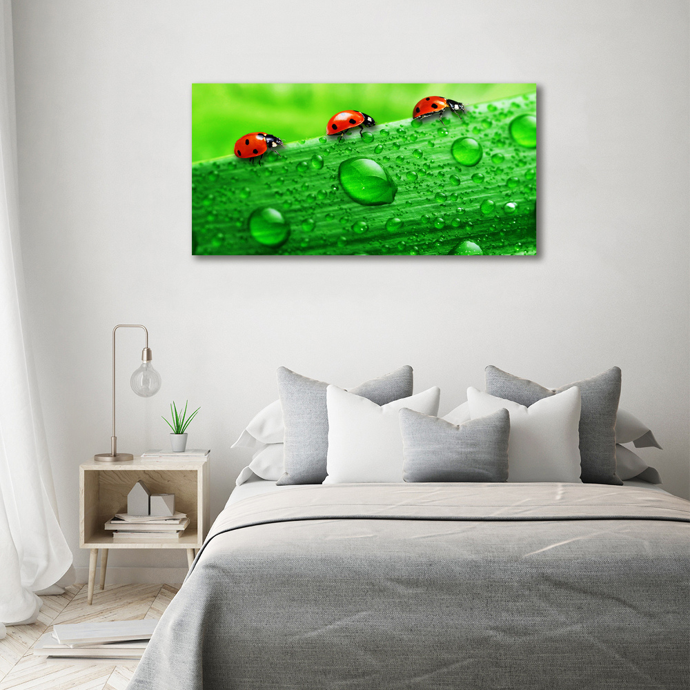 Acrylique tableau Coccinelles sur l'herbe