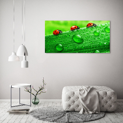 Acrylique tableau Coccinelles sur l'herbe