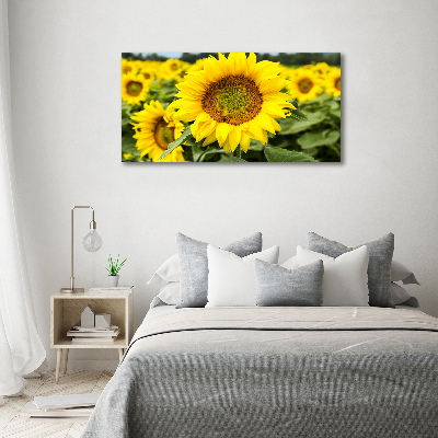 Tableau verre acrylique Champ de tournesols