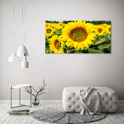 Tableau verre acrylique Champ de tournesols