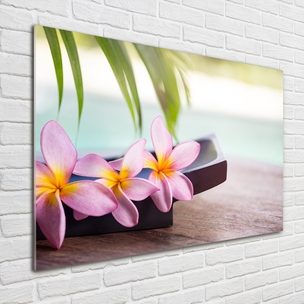 Tableau en acrylique Plumeria