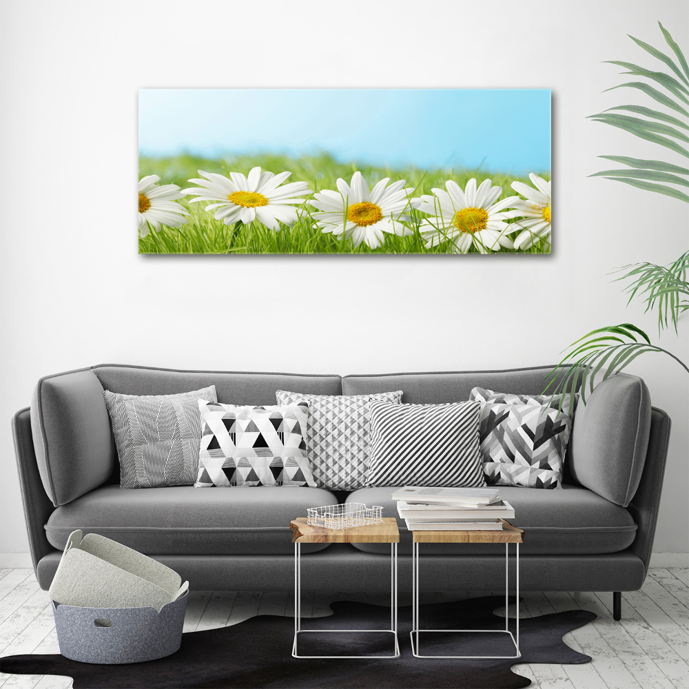 Tableau en acrylique Marguerites