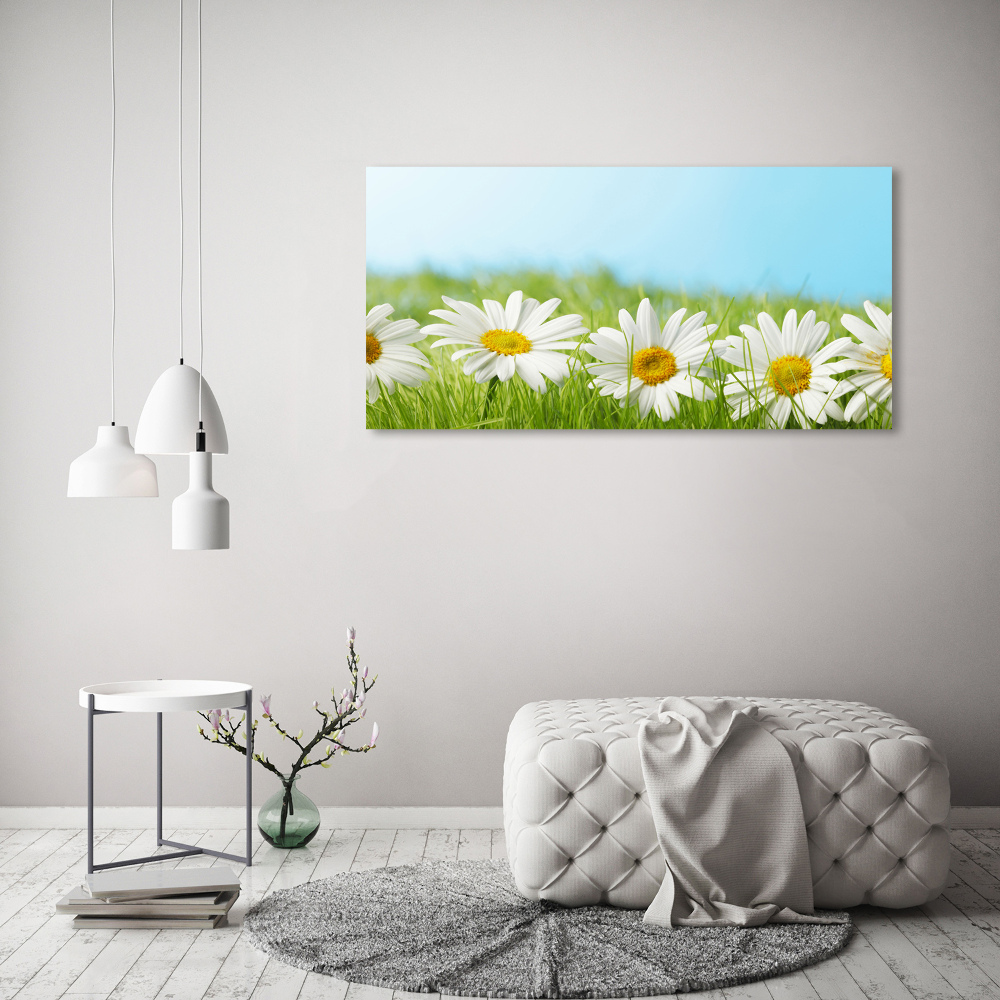 Tableau en acrylique Marguerites